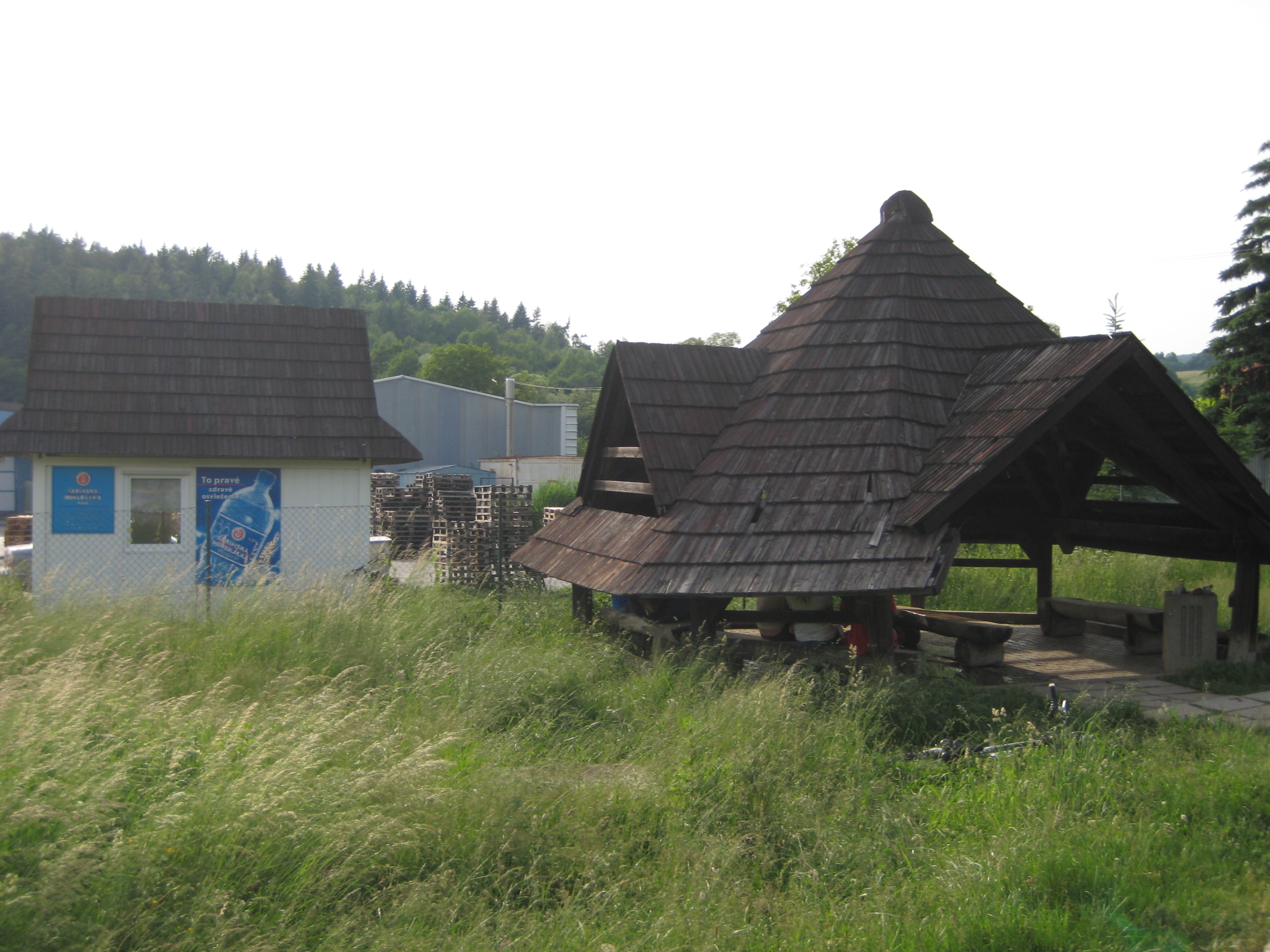 IMG_1679.jpg
